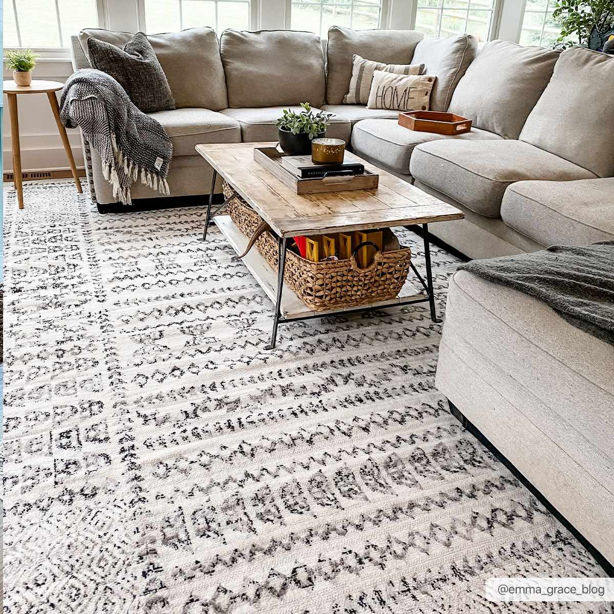 Greig Area Rug Hauteloom LLC