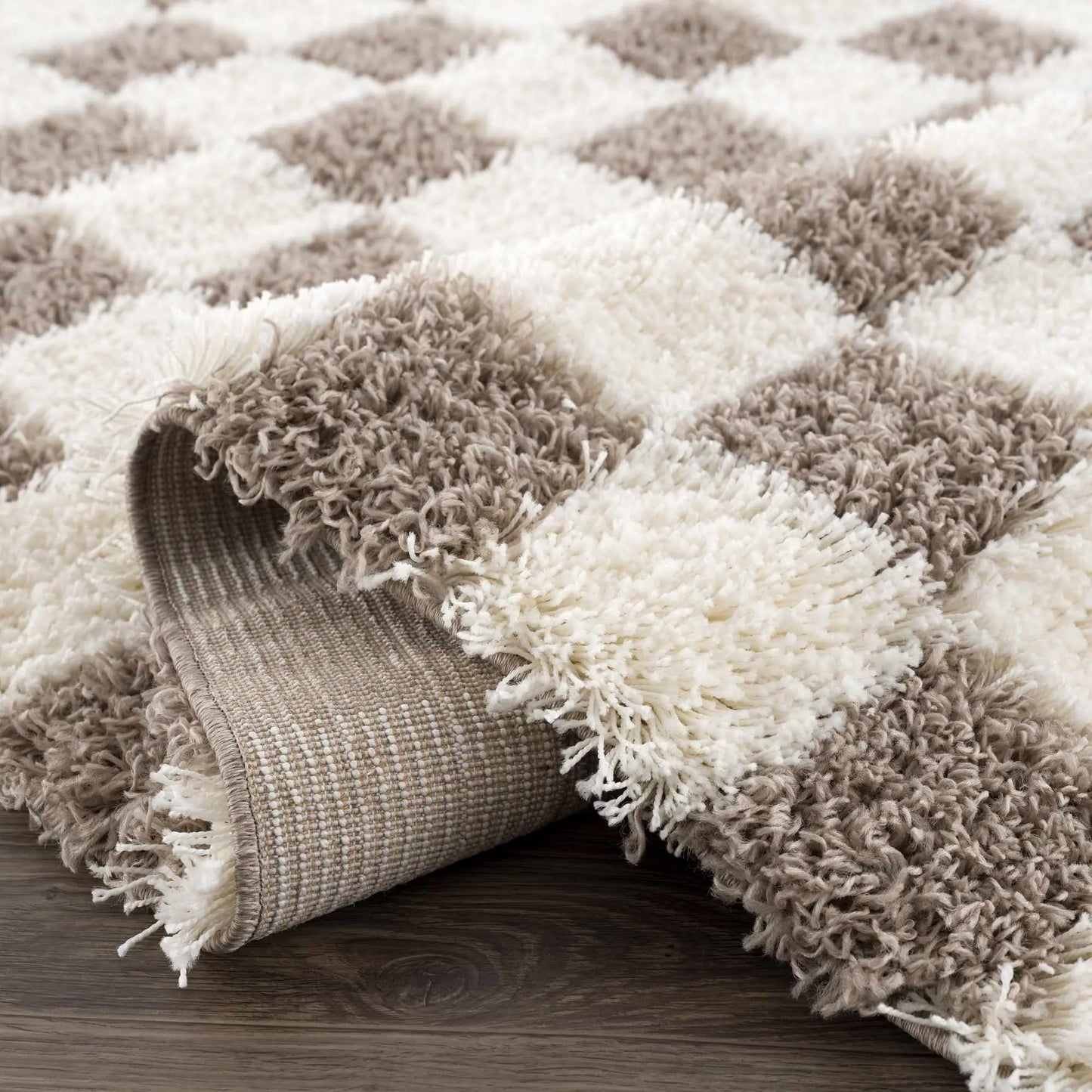 Atira Brown Checkered Area Rug Hauteloom LLC