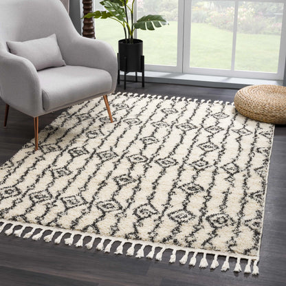 Bayanga Plush Area Rug - Clearance Hauteloom LLC