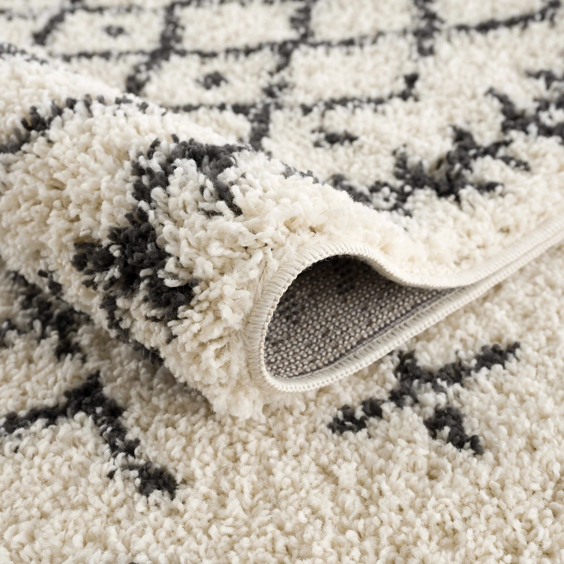Godalming Area Rug Hauteloom LLC