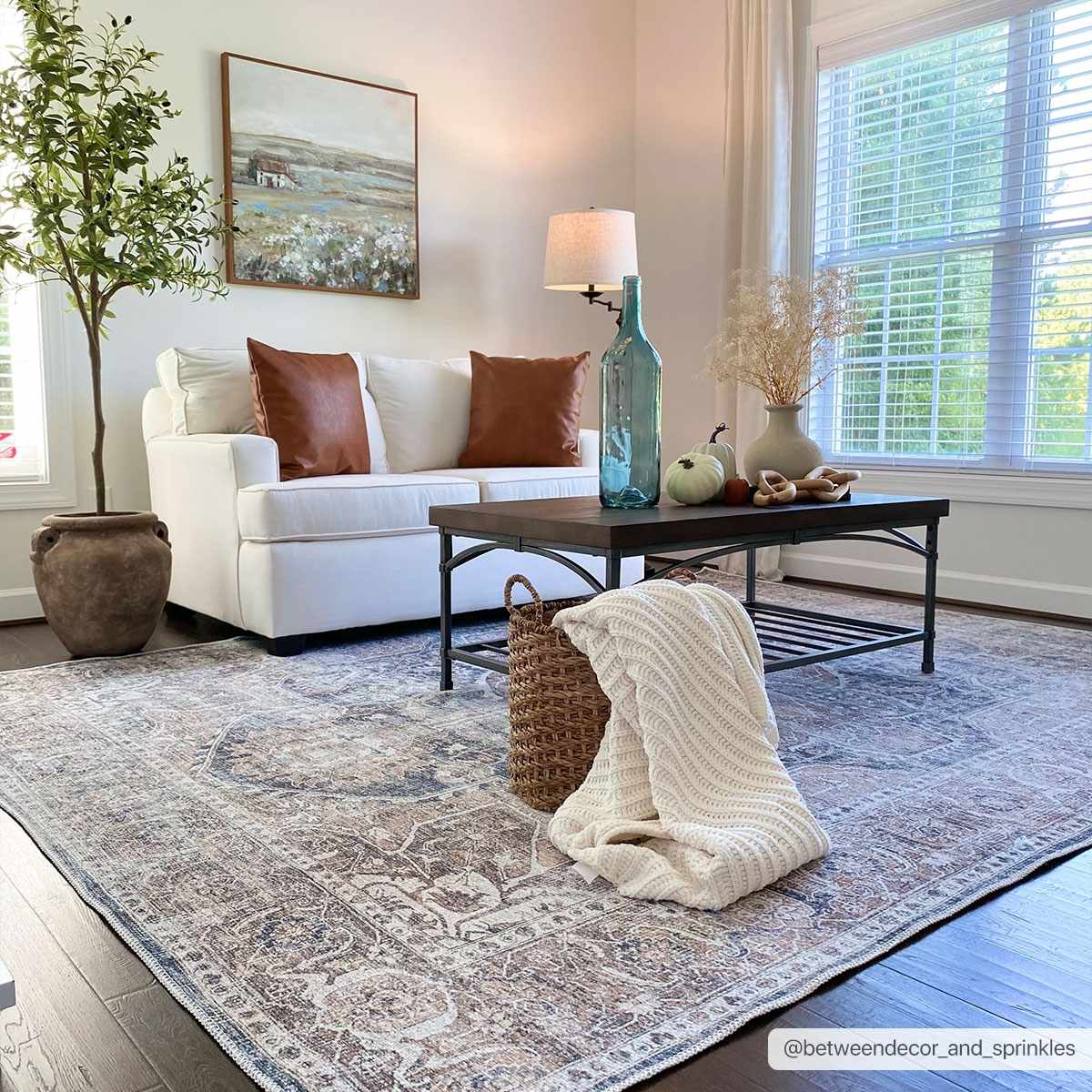 Mignon Washable Area Rug Hauteloom LLC