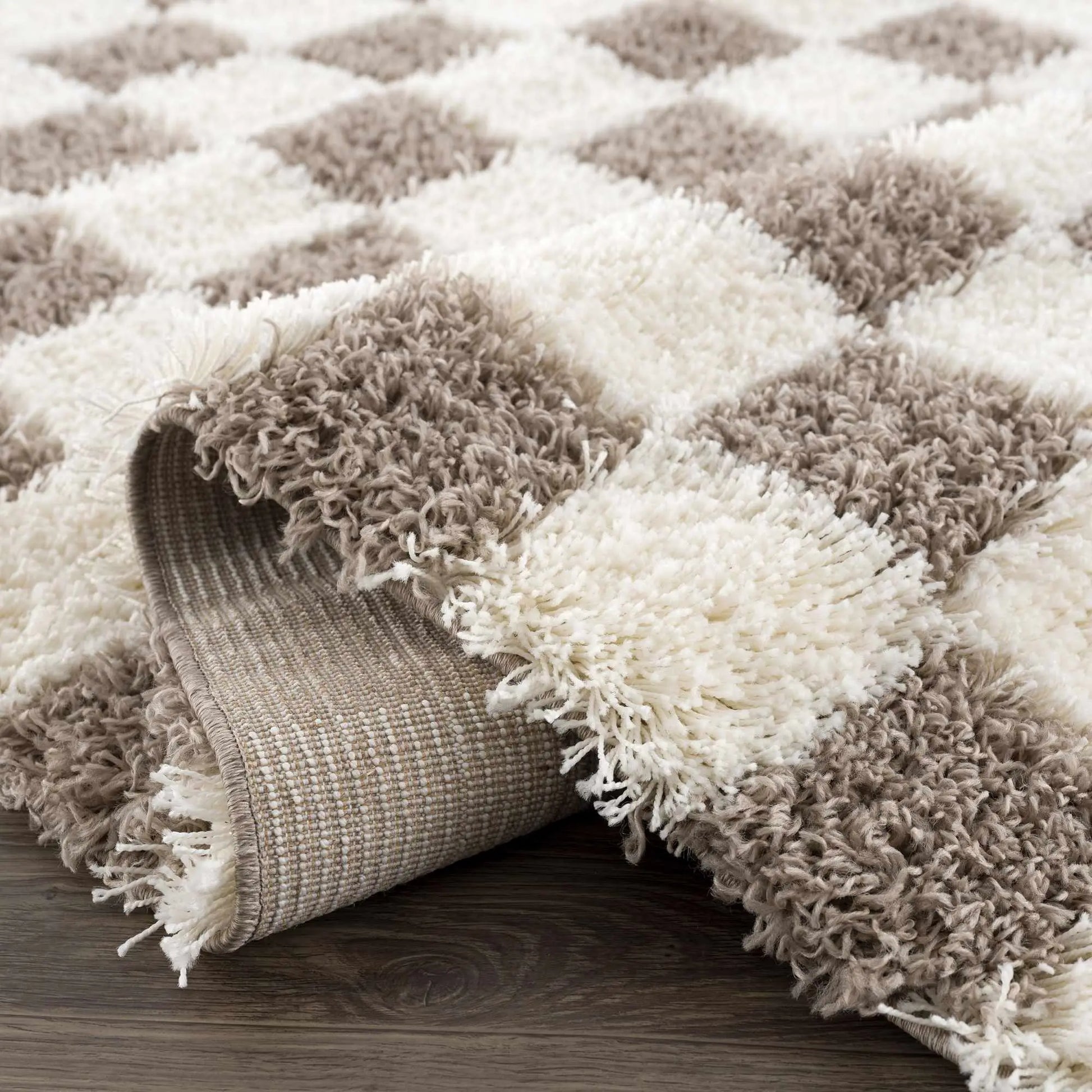 Atira Brown Checkered Area Rug Hauteloom LLC
